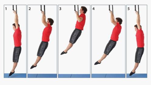 Pull-Up Routine